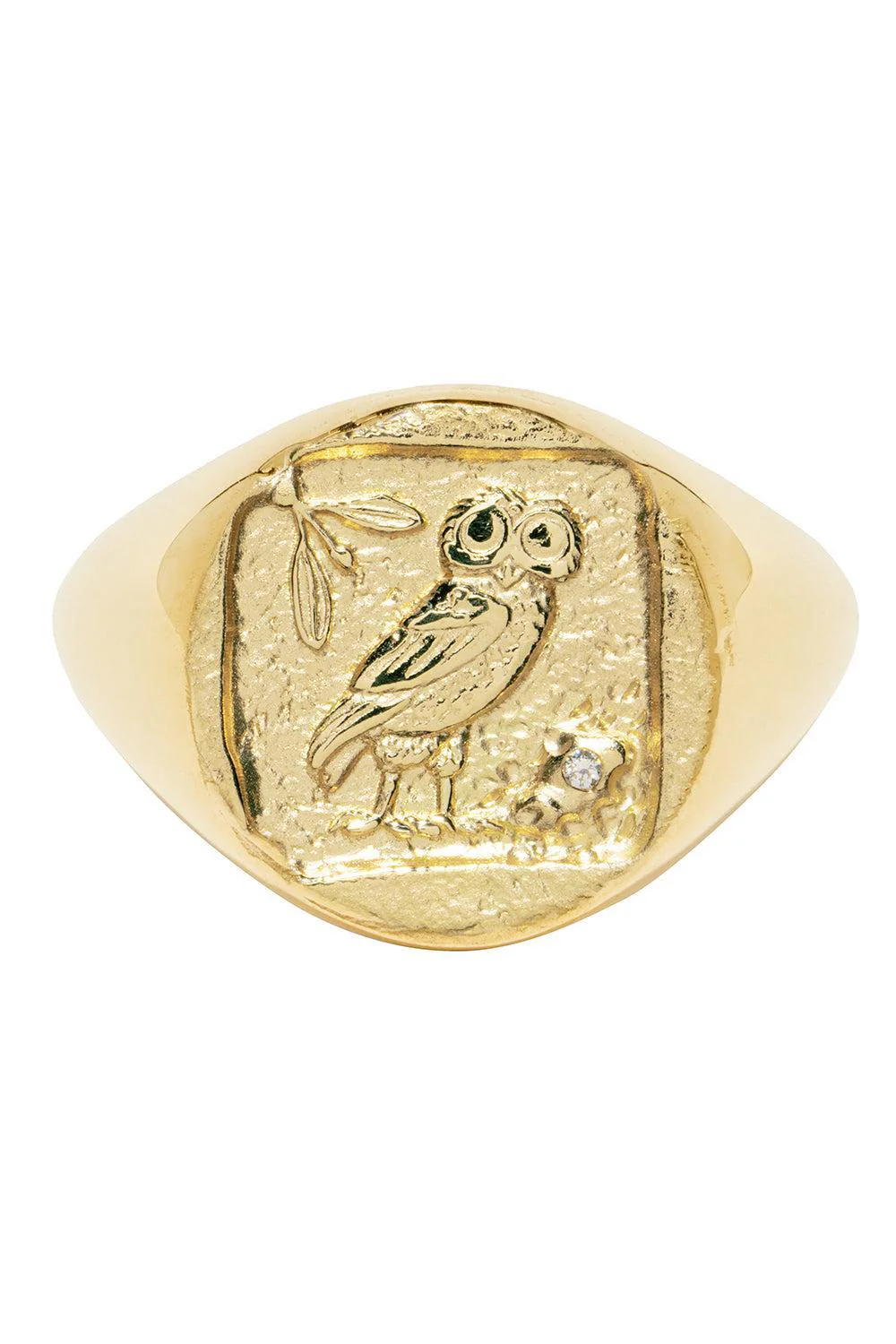 Owl of Athena Coin Signet Ring