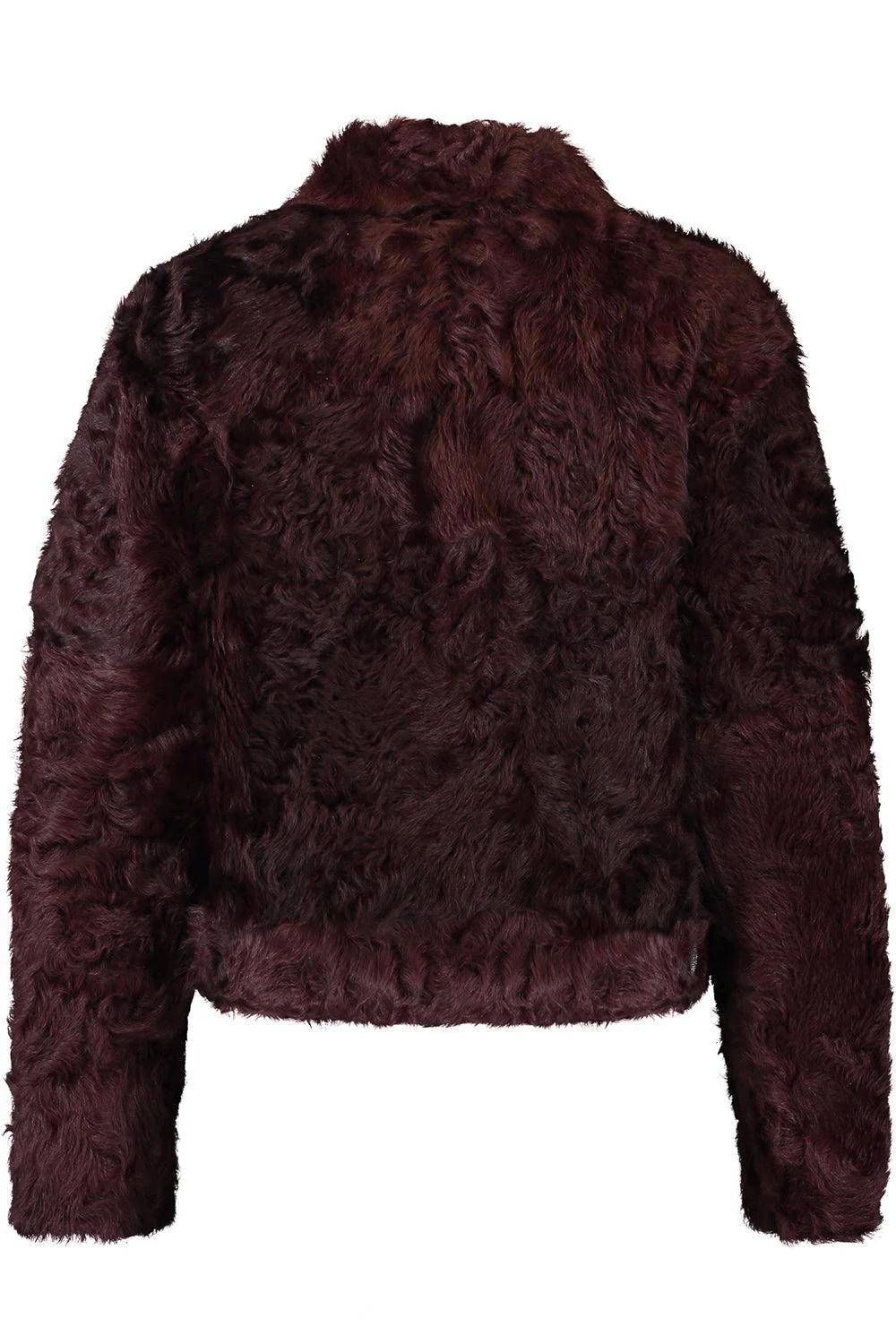 Moto Jacket - Image 5