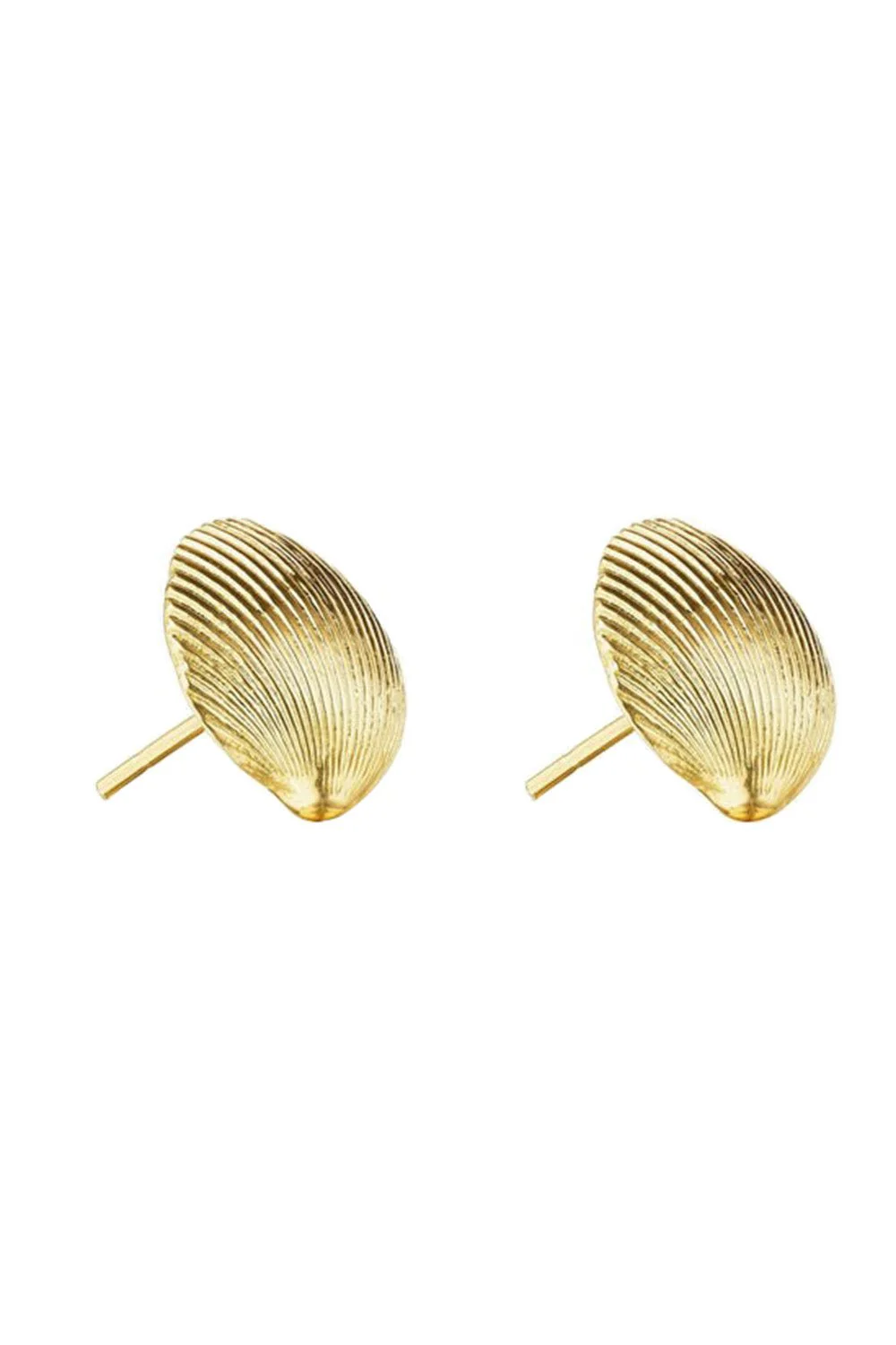 Small Shell Stud Earrings - Image 6