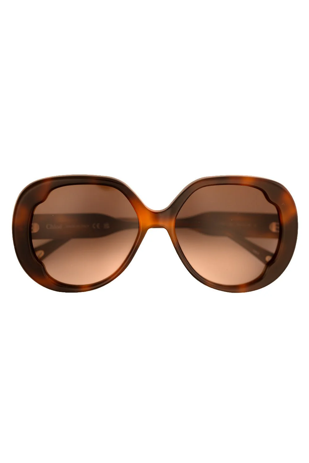 Butterfly Full Rim Sunglasses