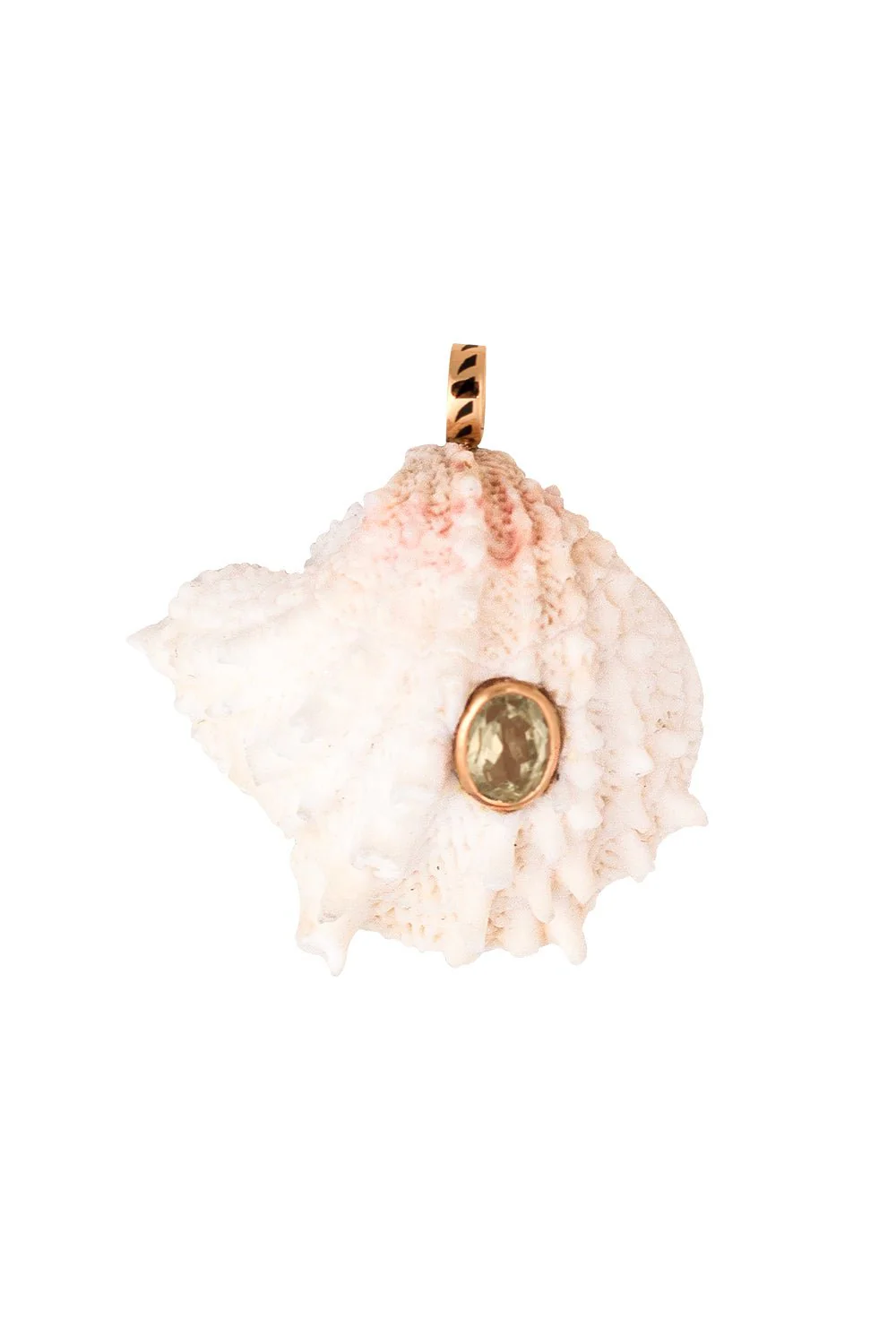 Classic Spiny Sillimanite Shell Pendant