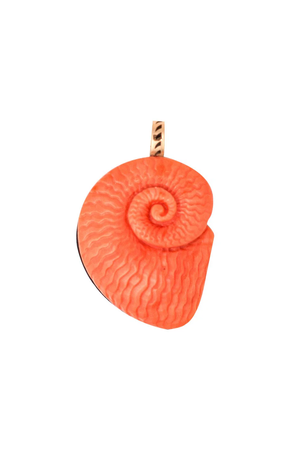 Coral Nautilus Charm