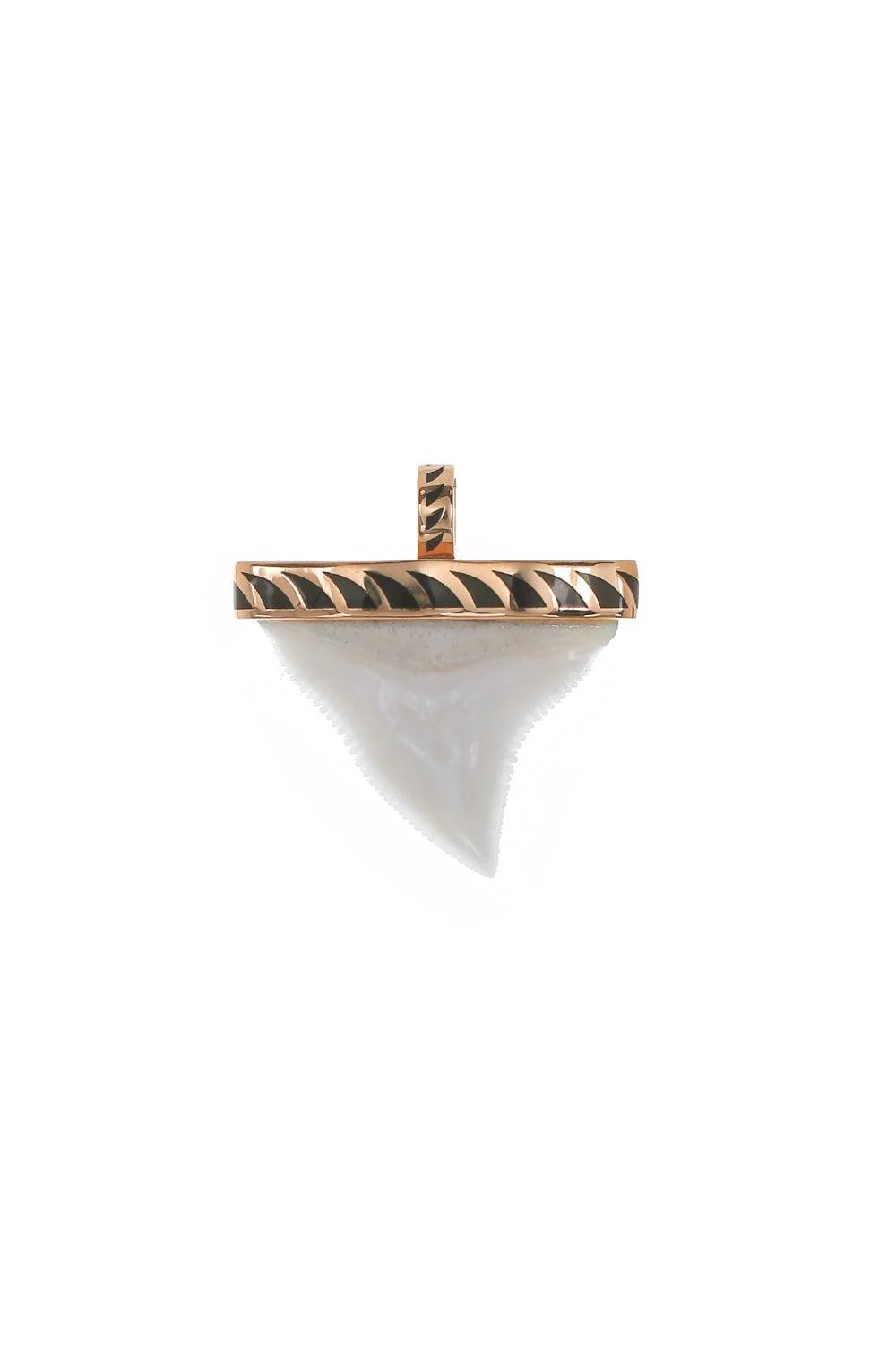 Grande White Shark Tooth Pendant