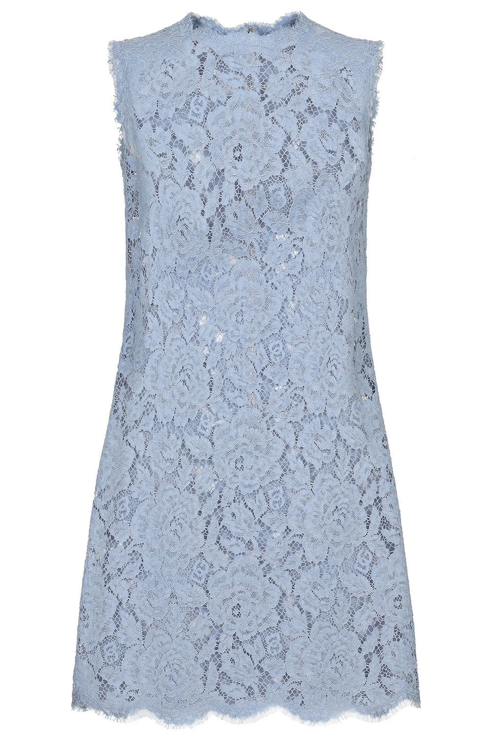 DG Logo Floral Short Dress