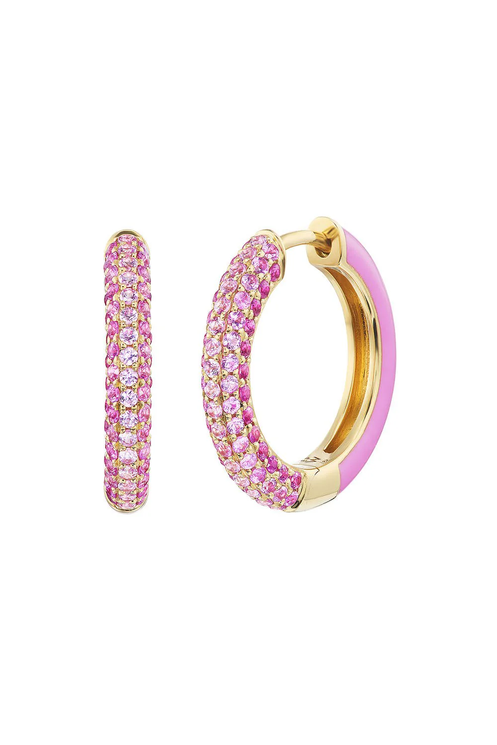 Flamingo Duo Hoop Earrings