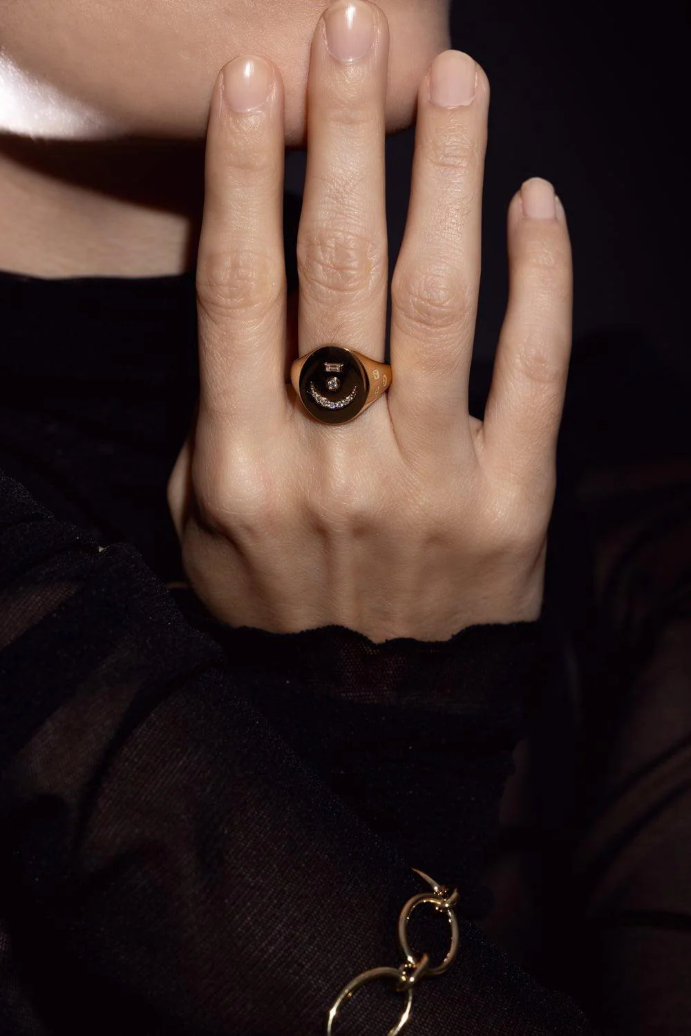 Bird's Eye Internal Compass Signet Ring - Image 4