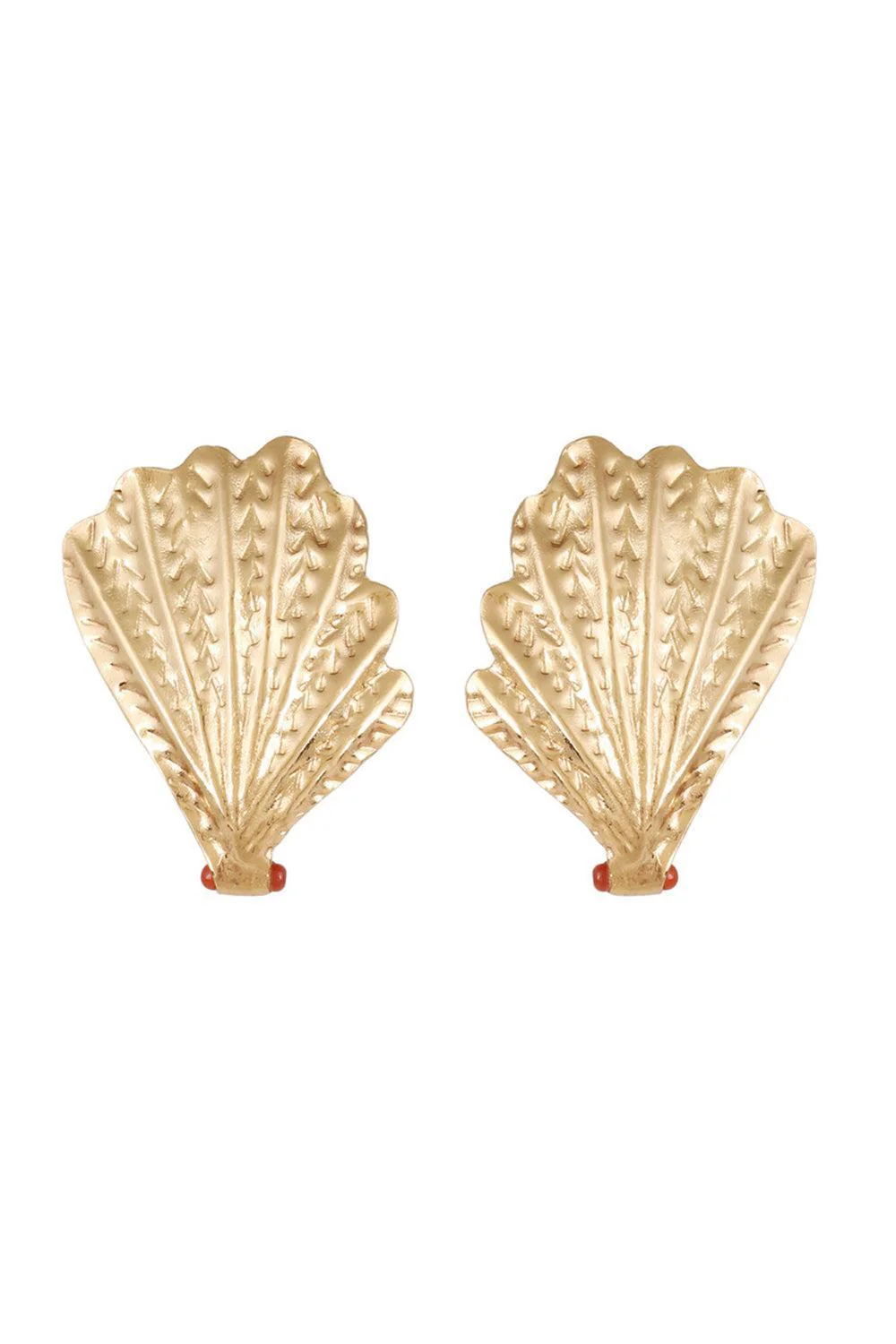 Shell Earrings