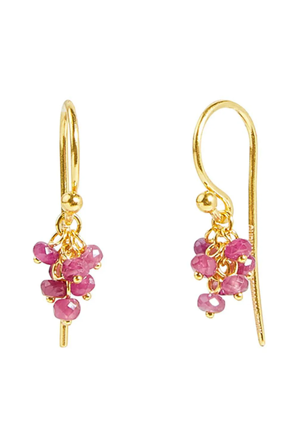 Small Ruby Tassel Drop Earrings