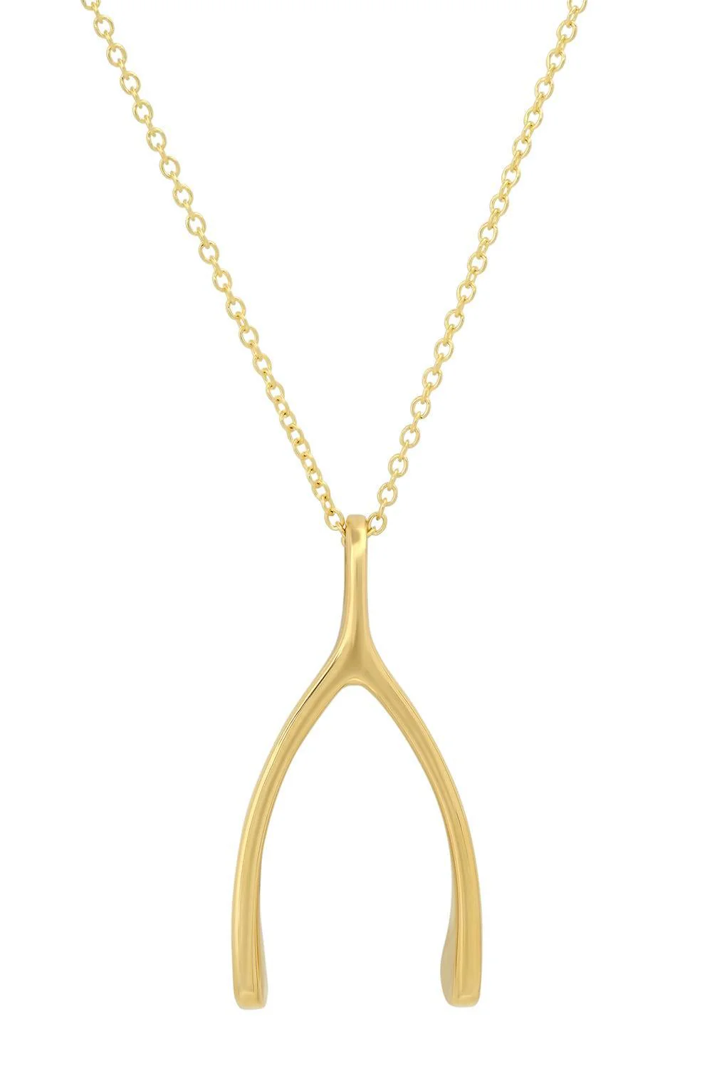 Large Wishbone Necklace