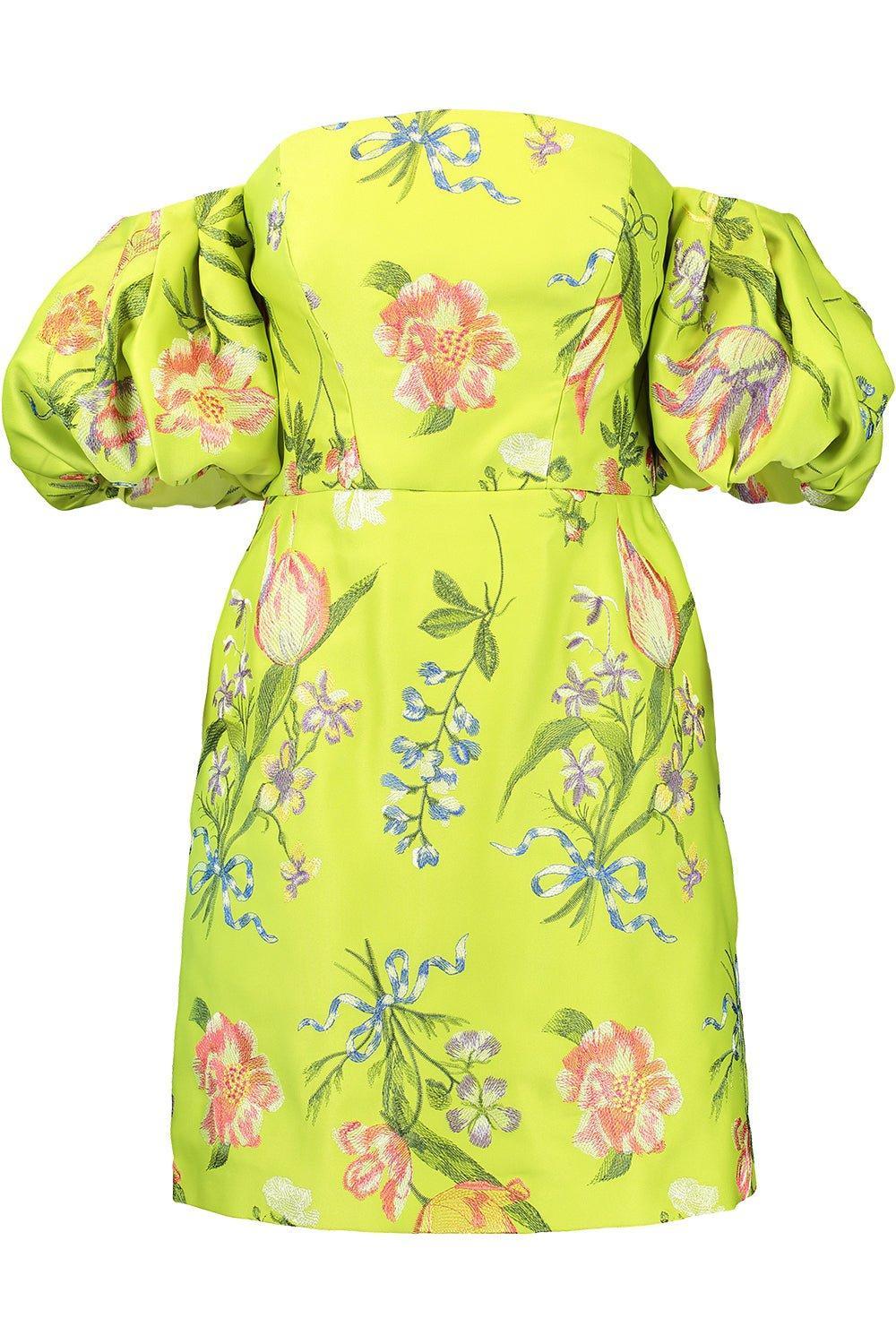 Puff Sleeve Mini Dress