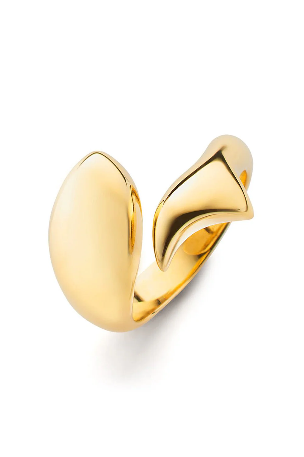 Perseverance Fish Ring