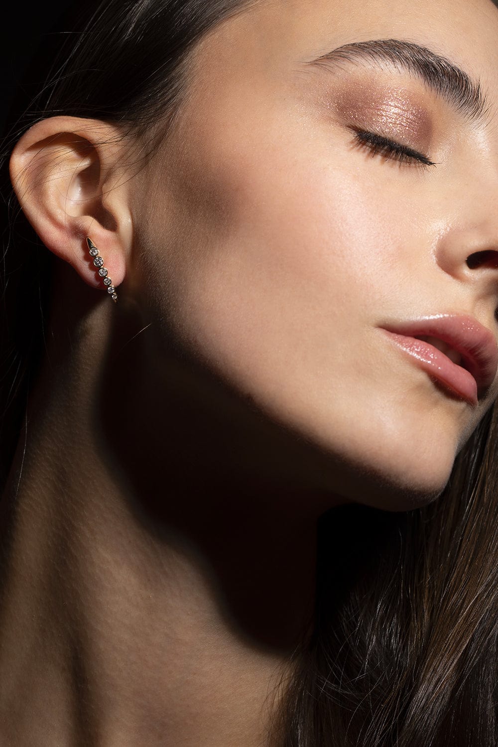 Crest Earrings - Image 2