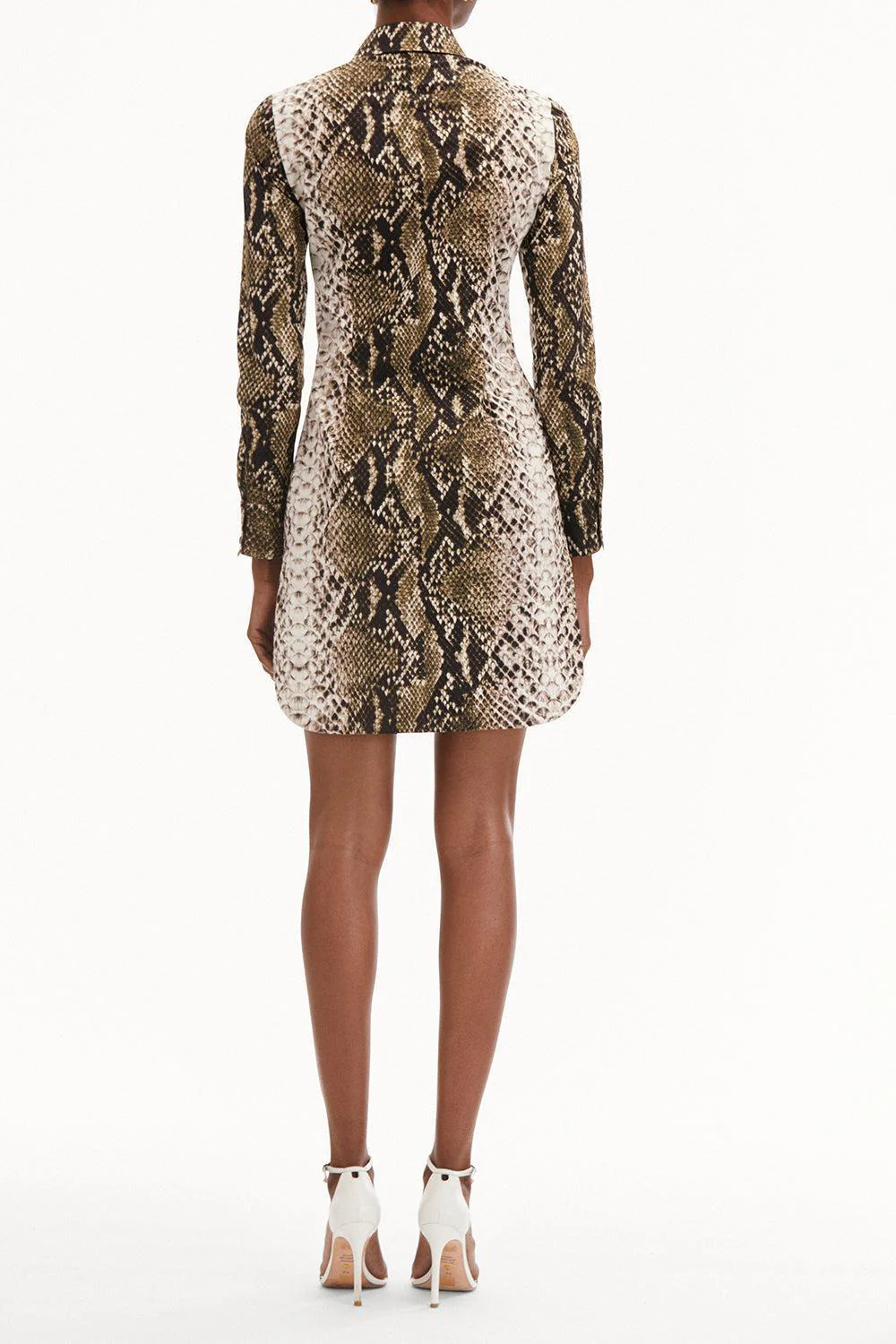 Snake Poplin Shirt Dress - Image 5