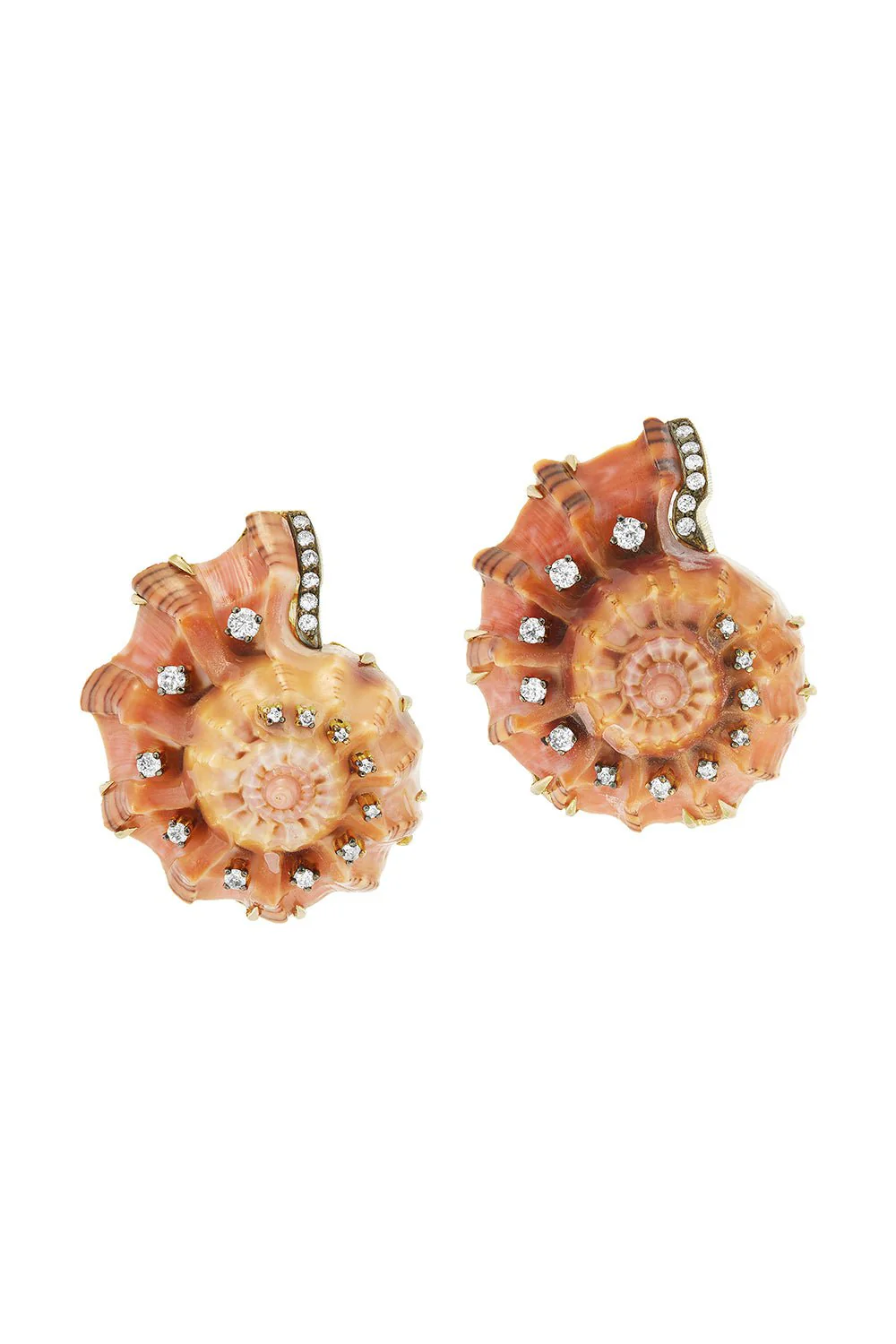Snail Spiral Shell Earrings