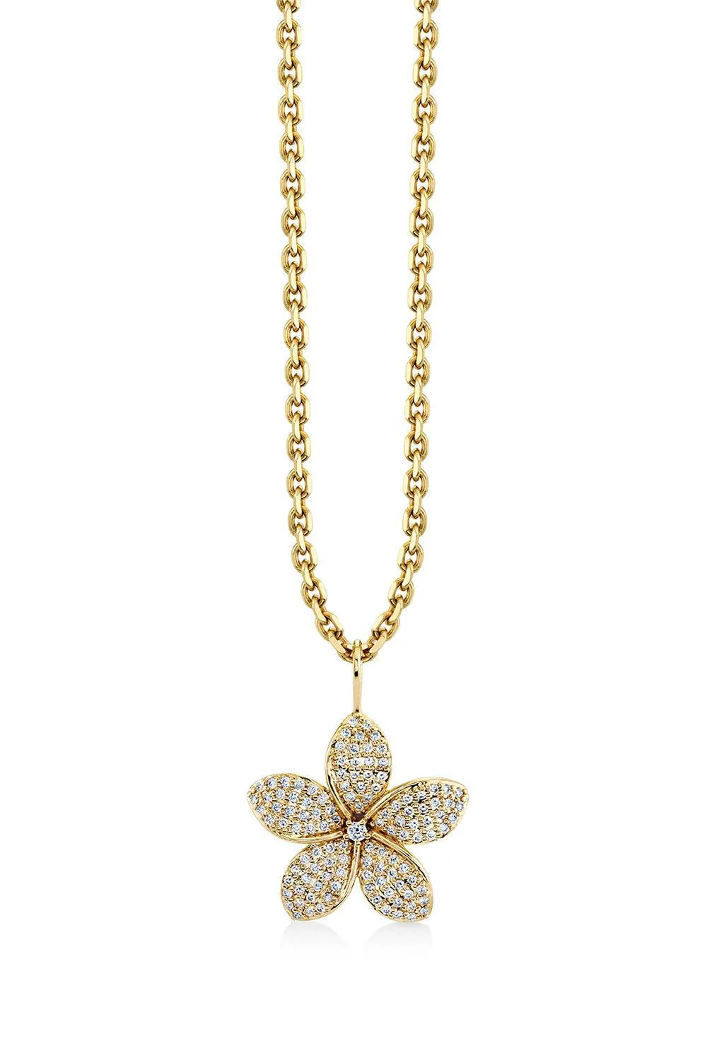 Diamond Large Pulmerica Charm Necklace