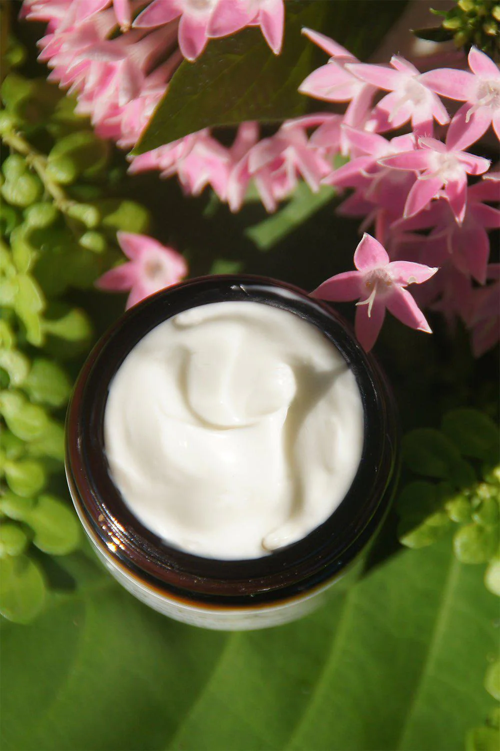 Spontaneous Recovery Creme - Image 4