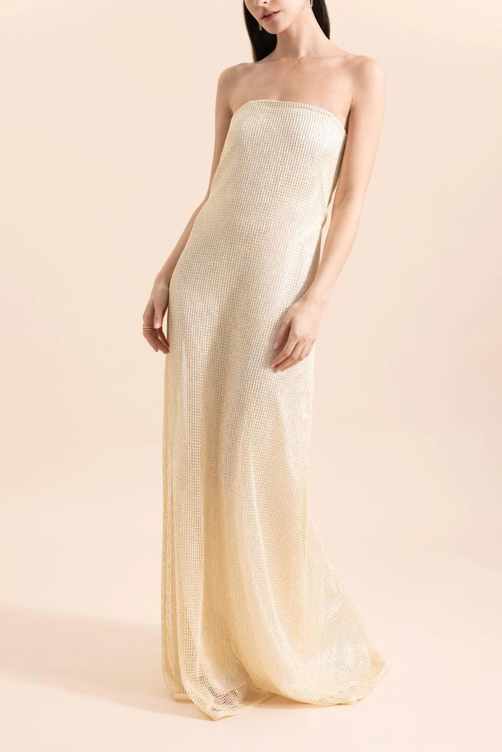 Carolyns Gown - Image 2