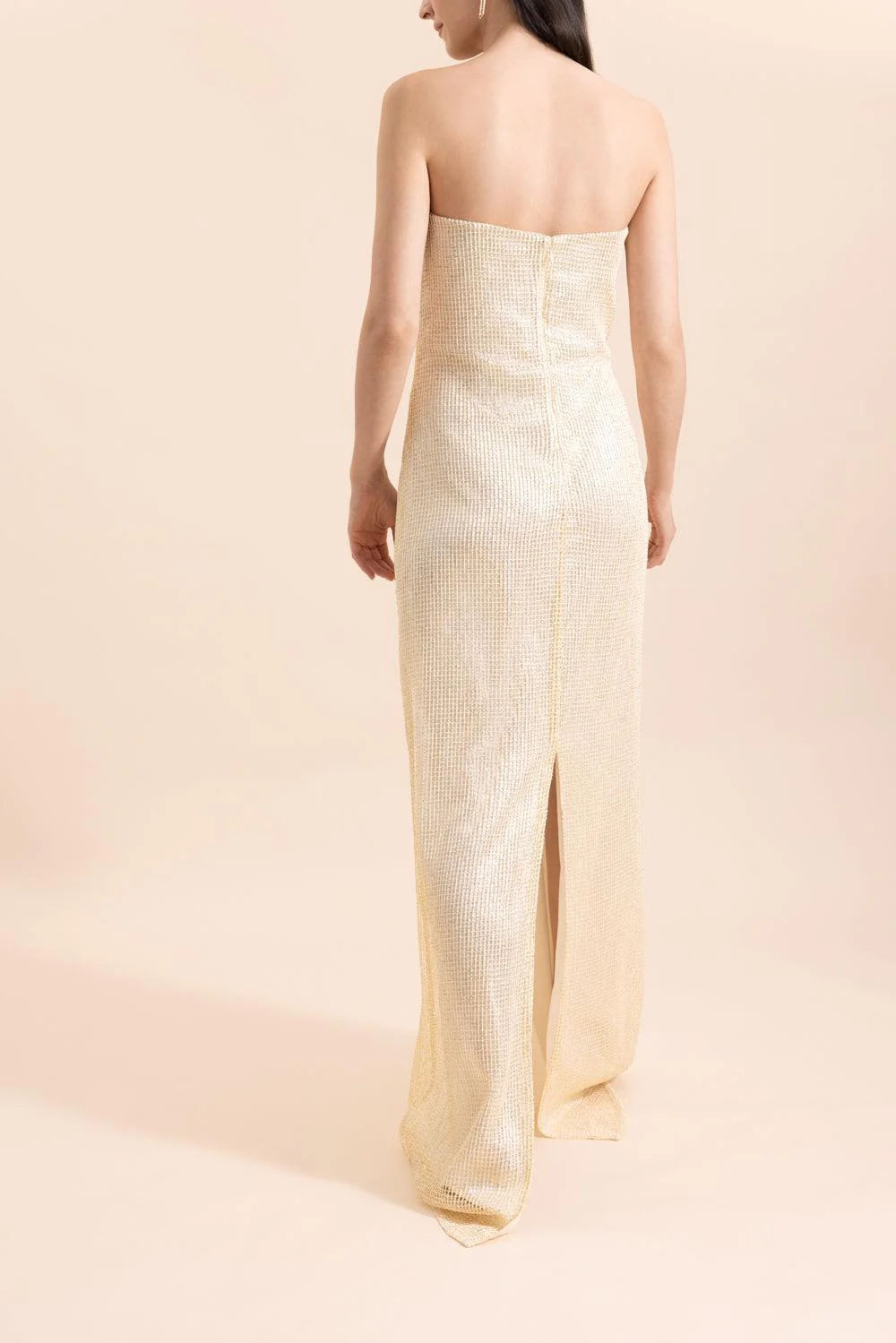 Carolyns Gown - Image 4