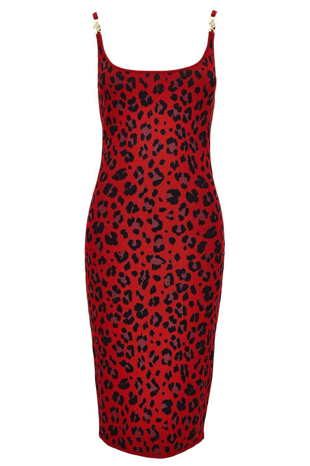 Animal Print Midi Dress