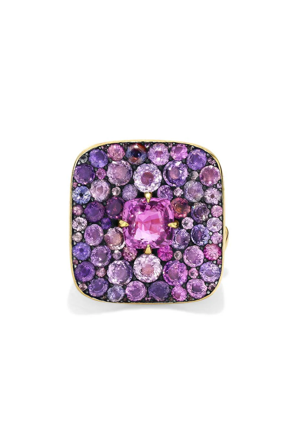 Chrona Butterfly Pink Sapphire Ring