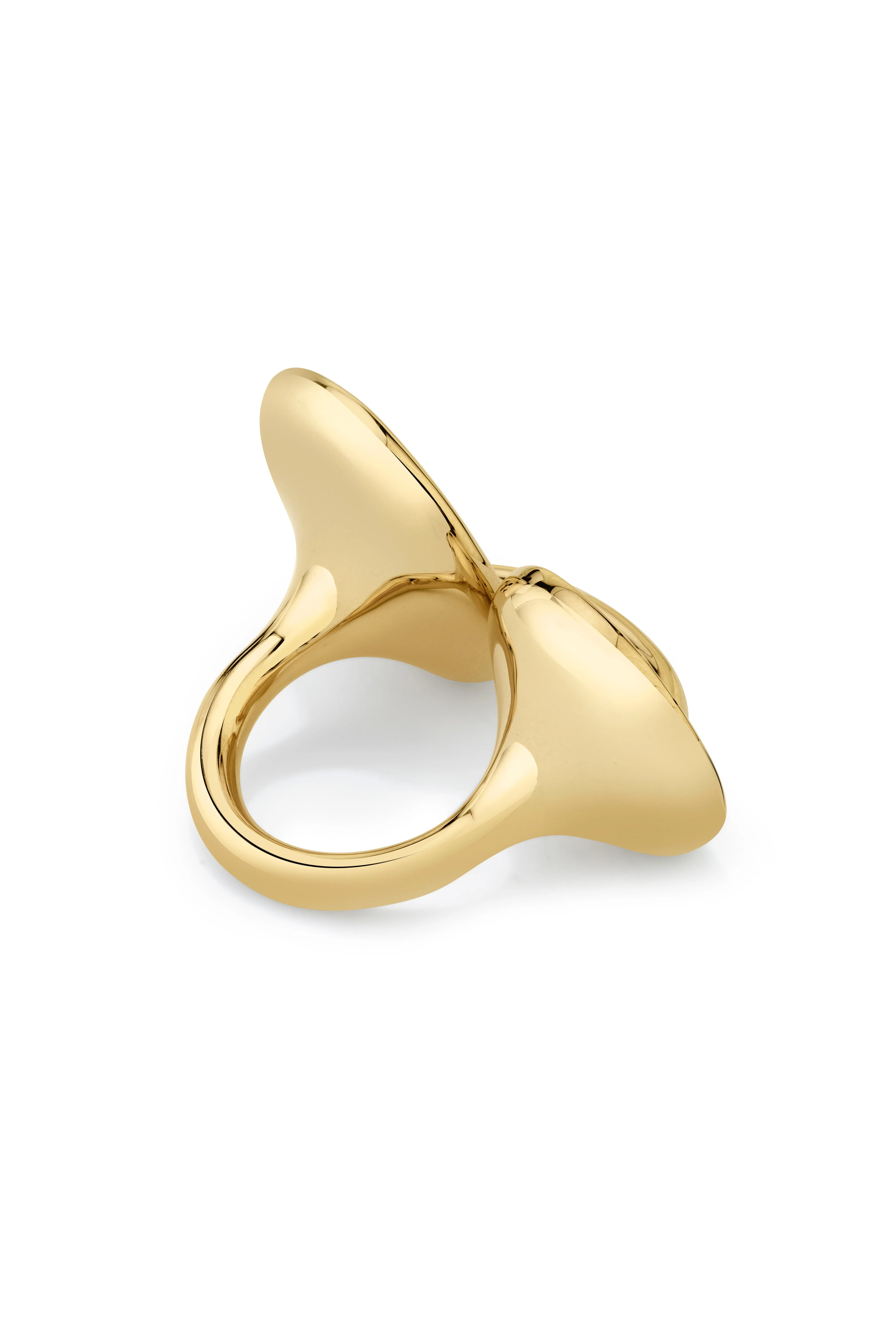 Sinc Ring - Image 5